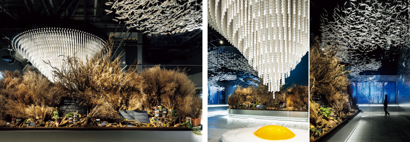 route to root-retracing the story of down.